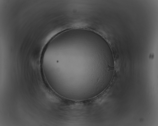 X0000093560196200710221430