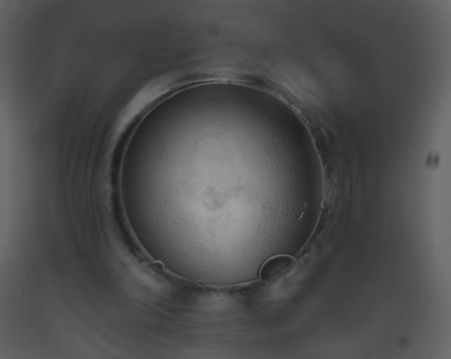 X0000093560198200710221430