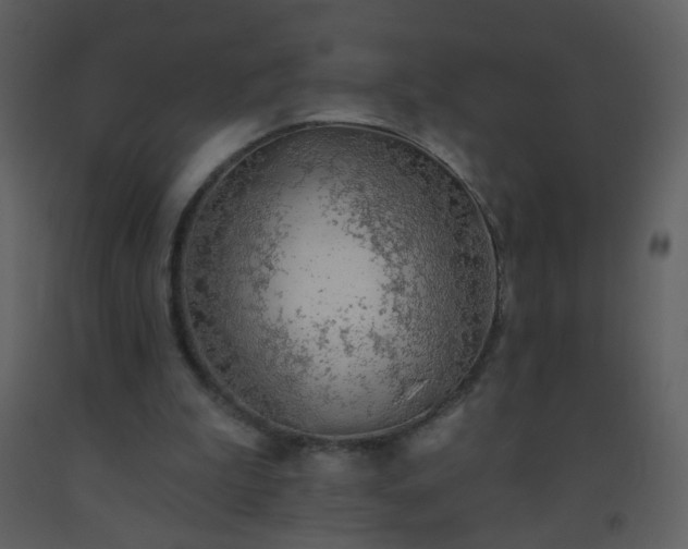 X0000093560199200710221430