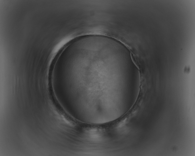 X0000093560200200710221430