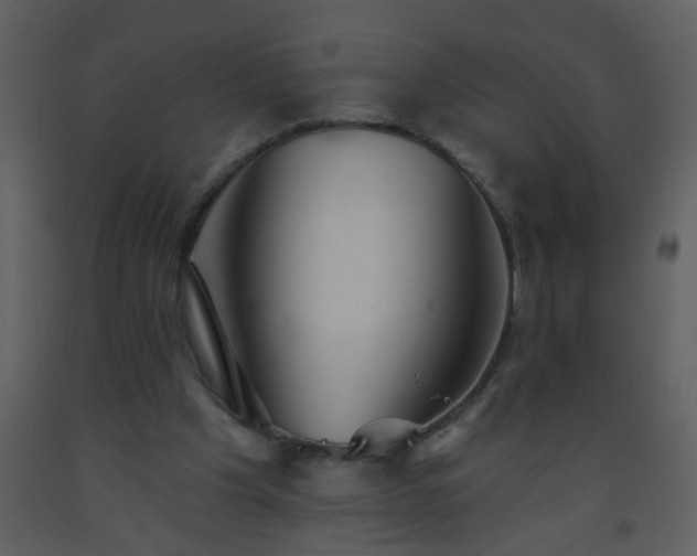 X0000093560201200710221430