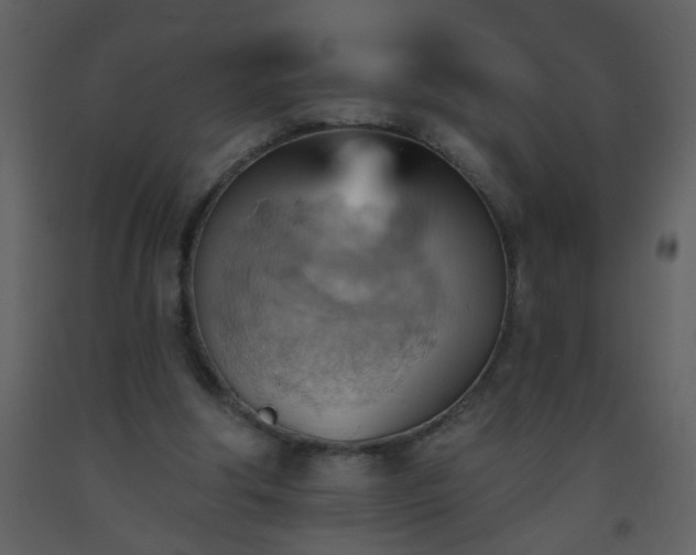 X0000093560202200710221430