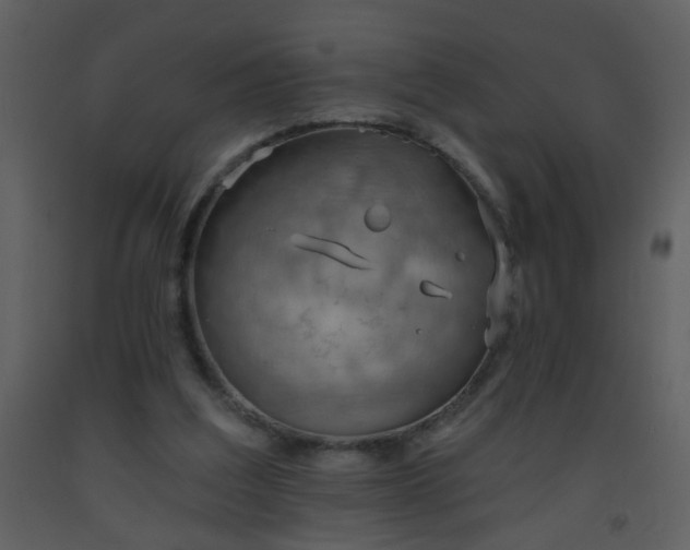 X0000093560203200710221430