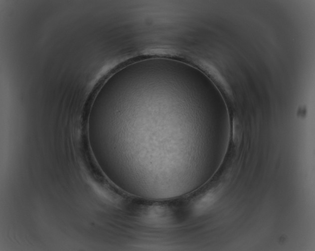 X0000093560204200710221430