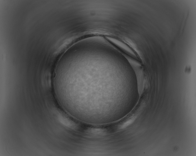 X0000093560205200710221430