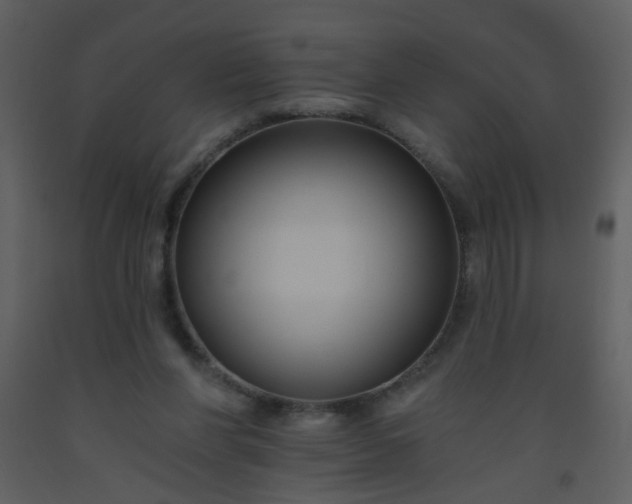 X0000093560206200710221429