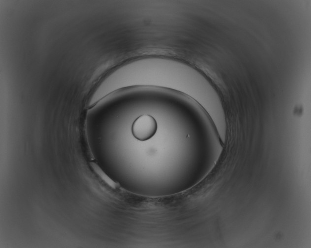 X0000093560207200710221429