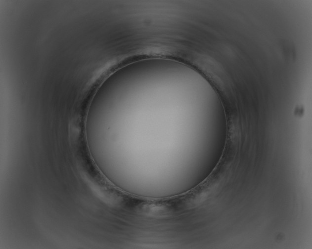 X0000093560208200710221429