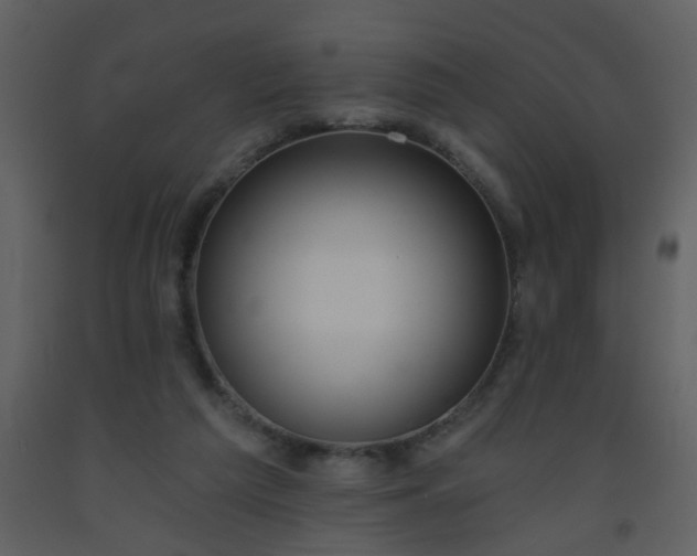 X0000093560209200710221429