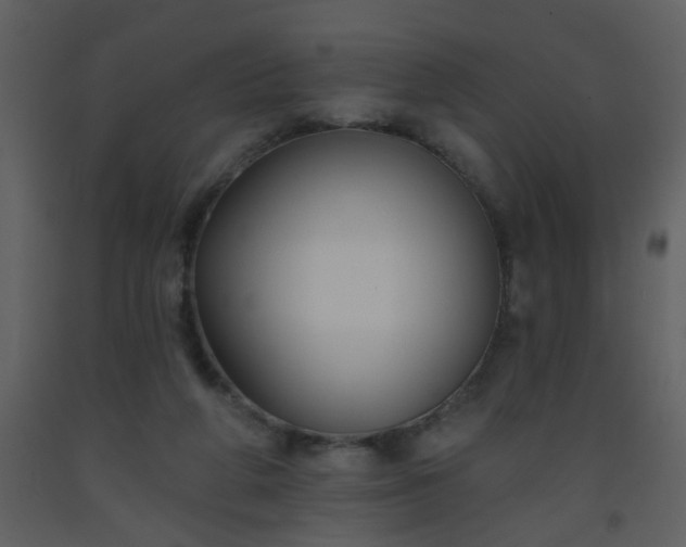 X0000093560210200710221429