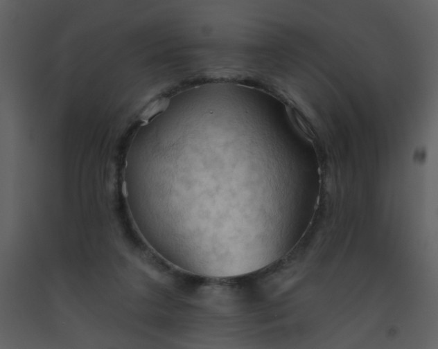 X0000093560211200710221429