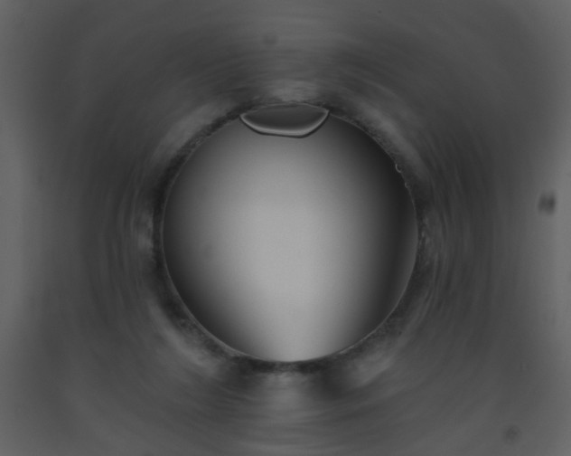 X0000093560212200710221429