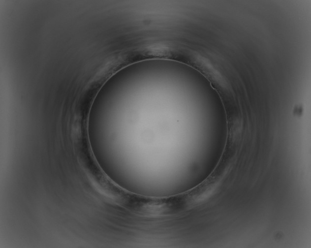 X0000093560213200710221429