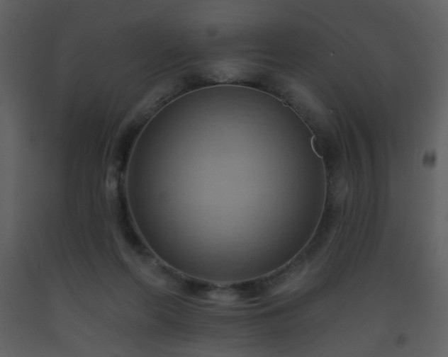 X0000093560214200710221429