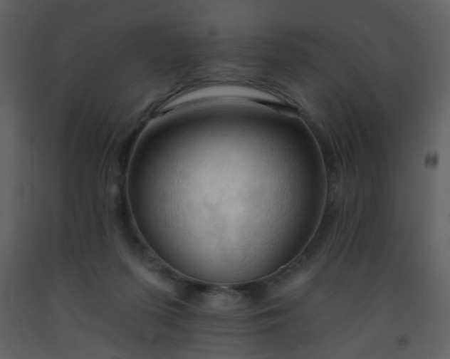 X0000093560215200710221429