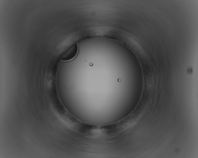 X0000093560216200710221429