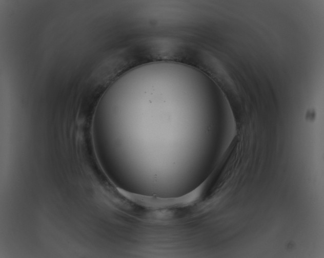 X0000093560217200710221429