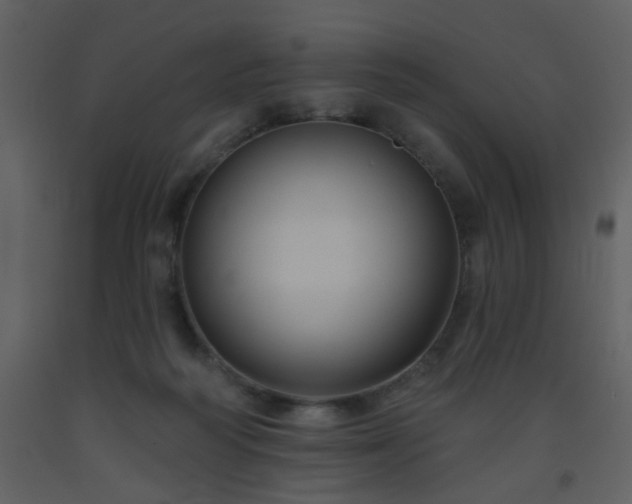 X0000093560218200710221429