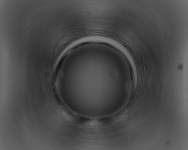 X0000093560219200710221429