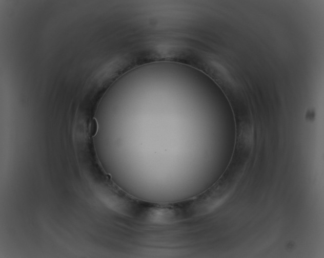 X0000093560220200710221429