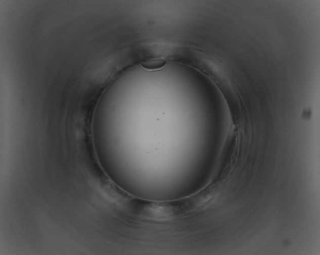 X0000093560221200710221429