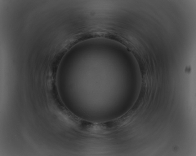 X0000093560223200710221429