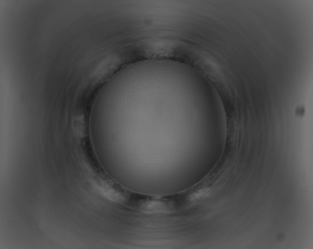 X0000093560224200710221429