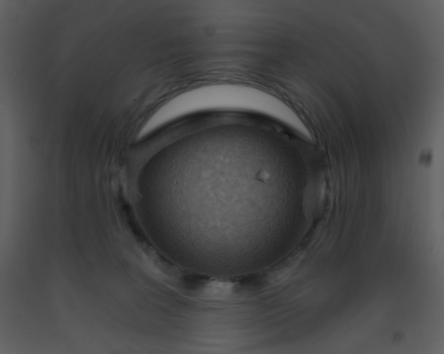 X0000093560227200710221429