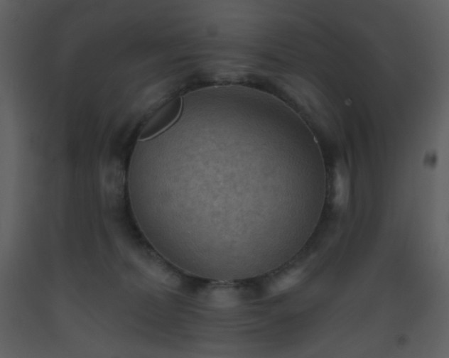 X0000093560228200710221429