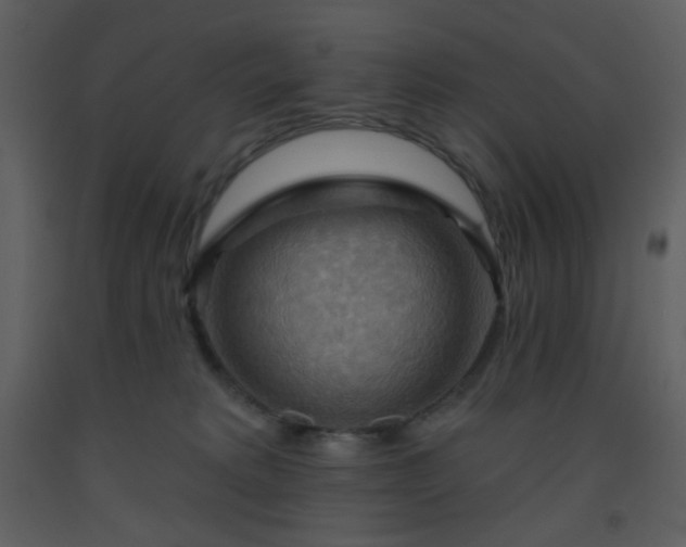 X0000093560229200710221429