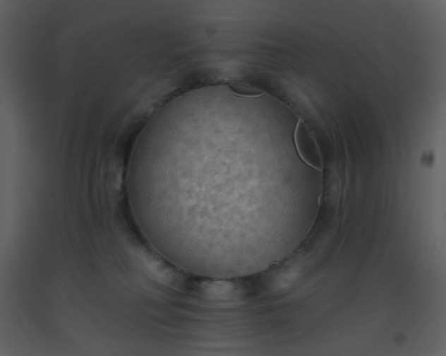 X0000093560230200710221429