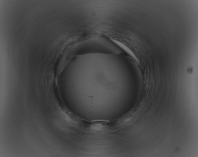 X0000093560231200710221429