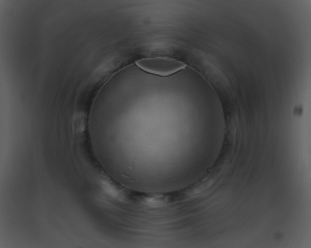 X0000093560232200710221429