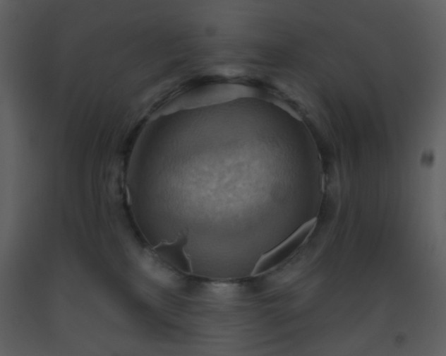 X0000093560233200710221429