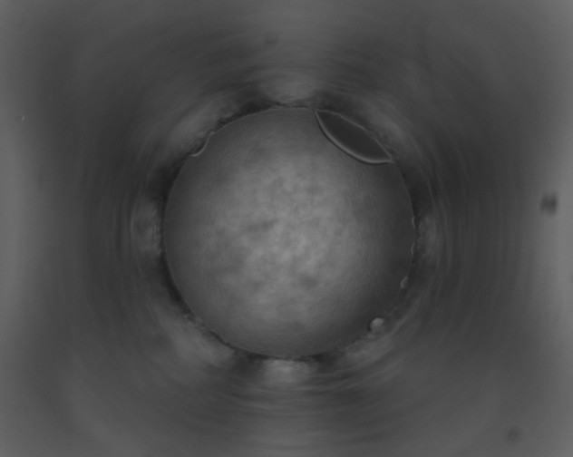 X0000093560234200710221429