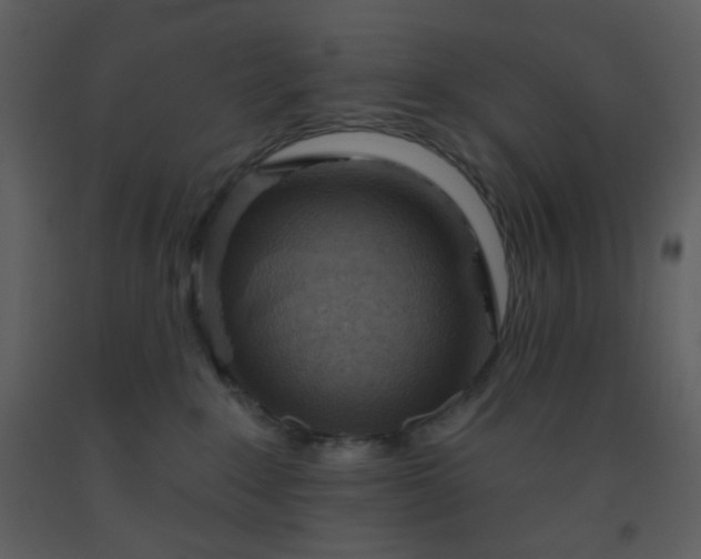 X0000093560235200710221429