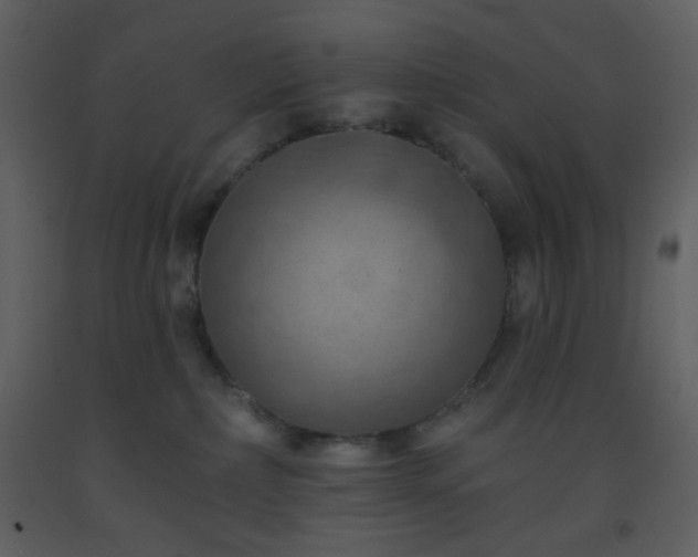 X0000093560236200710221429