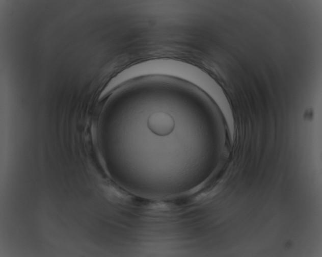 X0000093560237200710221429