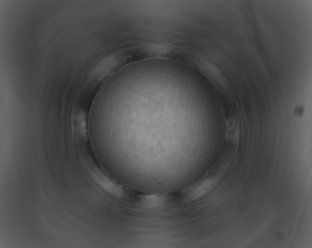 X0000093560238200710221429