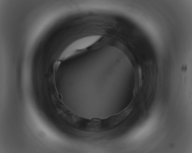 X0000093560239200710221429