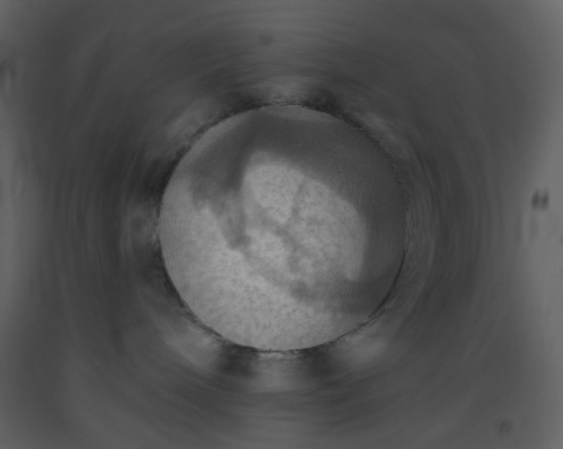 X0000093560240200710221429