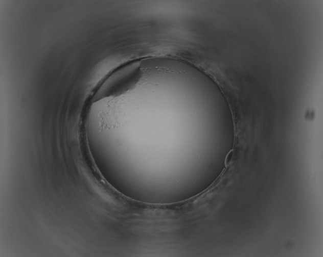 X0000093560242200710221428