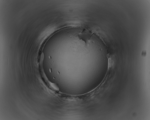 X0000093560243200710221428