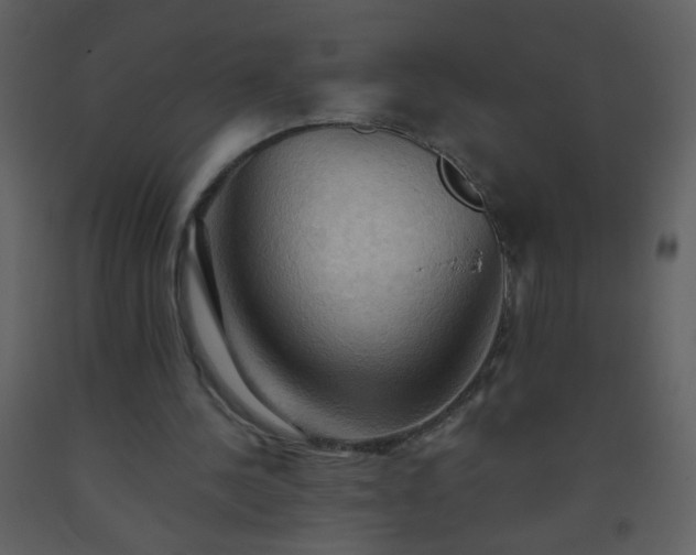 X0000093560244200710221428