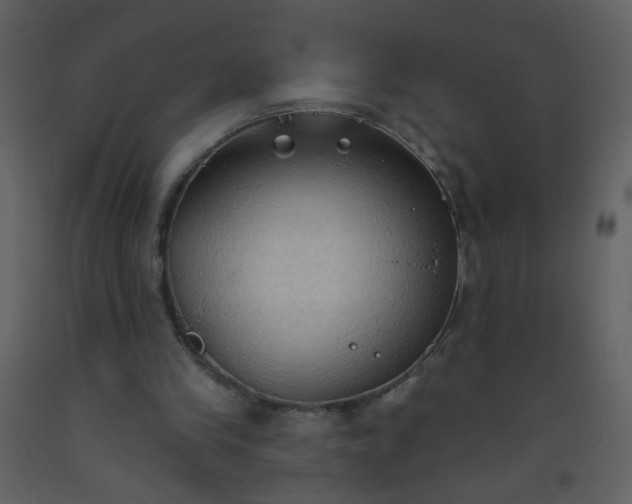 X0000093560245200710221428