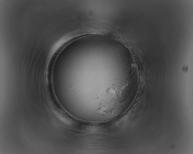 X0000093560246200710221428