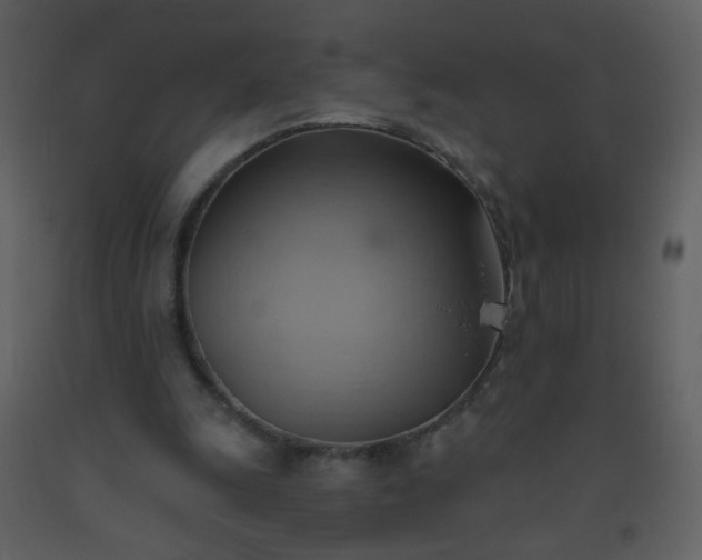 X0000093560247200710221428