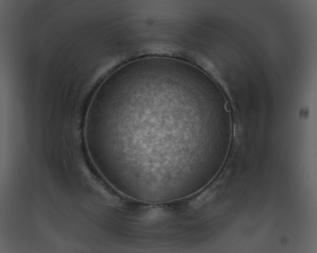 X0000093560249200710221428