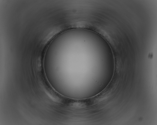 X0000093560251200710221428