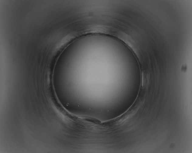 X0000093560253200710221428